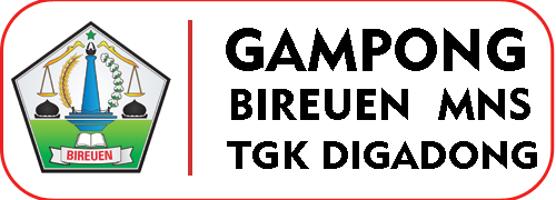 Gampong Bireuen MNS Tgk Digadong